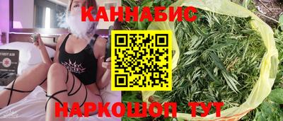 mdpv Ачхой-Мартан
