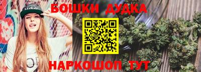 mdpv Ачхой-Мартан